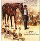 photo du film Phar Lap