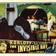 photo du film Le rayon invisible