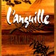photo du film L'Anguille