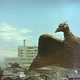 photo du film Rodan