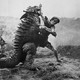 photo du film La Guerre des monstres