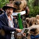 photo du film Yogi l'ours