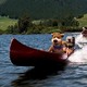 photo du film Yogi l'ours