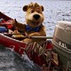 photo du film Yogi l'ours