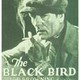 photo du film L'Oiseau noir