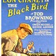 photo du film L'Oiseau noir