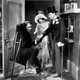 photo du film L'Oiseau noir