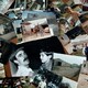 photo du film Les Fils de la terre
