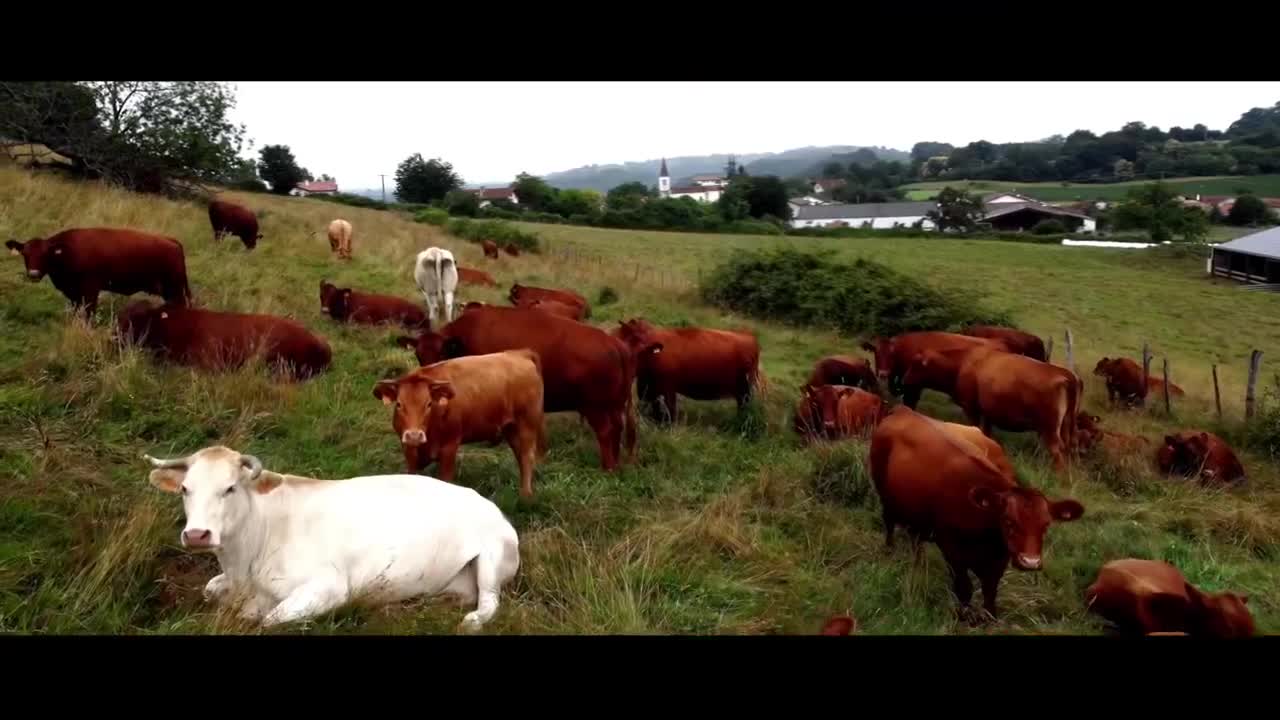 Extrait vidéo du film  Penser à demain