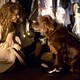 photo du film Fluke