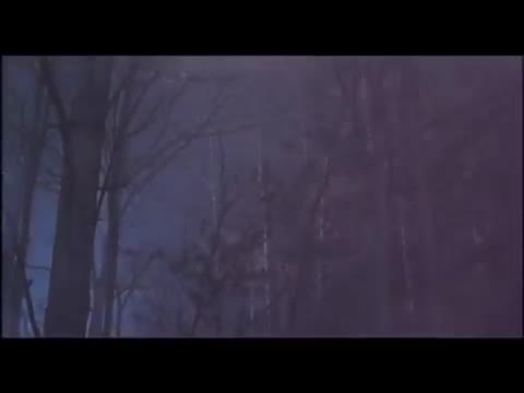 Extrait vidéo du film  Fluke