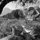 photo du film La Fille du puisatier