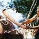 photo du film Africa Express