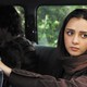 photo du film A propos d'Elly