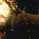 photo du film The Fountain
