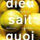 photo du film Dieu sait quoi
