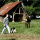 photo du film A la campagne