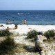 photo du film Le Gendarme en balade