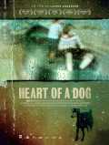 Heart Of A Dog