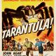 photo du film Tarantula