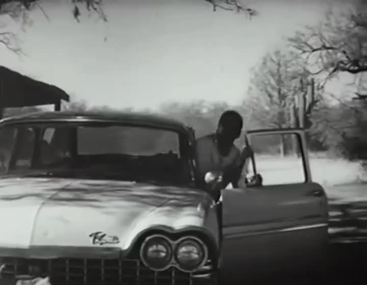 Extrait vidéo du film  Le Lys des champs