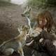 photo du film Survivre avec les loups
