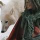 photo du film Survivre avec les loups