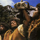 photo du film Le Clan de la caverne des ours