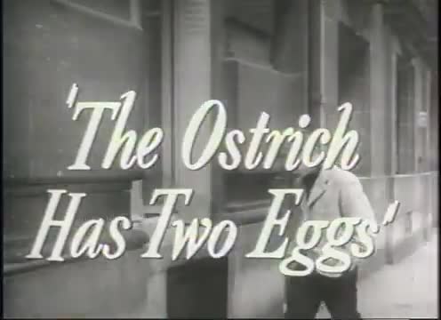 Extrait vidéo du film  Les Œufs de l autruche