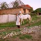 photo du film Le Chant de la couleuvre