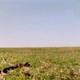 photo du film Le Chant de la couleuvre