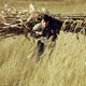photo du film White Deer Plain