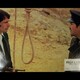 photo du film Folle à tuer