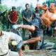 photo du film Bienvenue dans la jungle