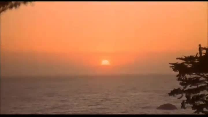 Un extrait du film  Le credo de la violence