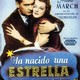 photo du film Une Étoile est née