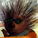 photo du film Chicken Little