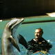 photo du film Le Jour du dauphin