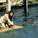 photo du film Le Jour du dauphin