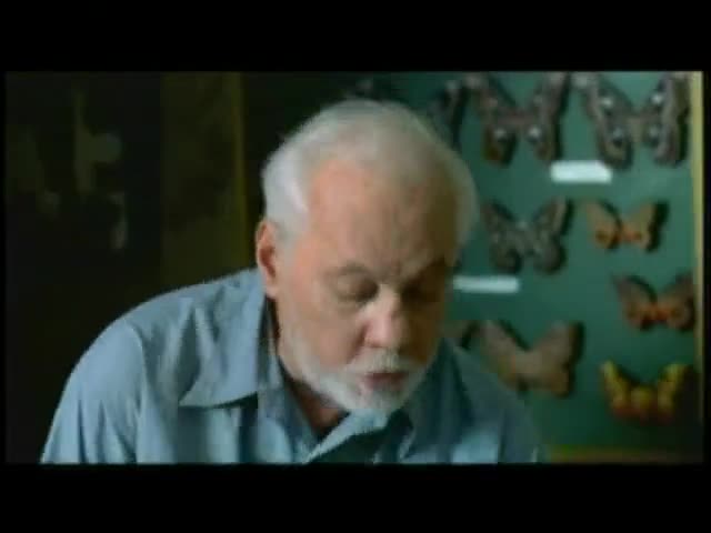 Extrait vidéo du film  Le Papillon