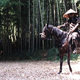 photo du film Sword in the moon
