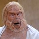 photo du film Le Secret de la planète des singes