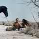 photo du film Le Secret de la planète des singes