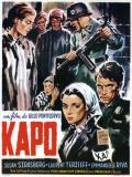 Kapo