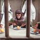 photo du film Les Évadés de la planète des singes