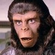photo du film Les Évadés de la planète des singes