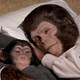 photo du film Les Évadés de la planète des singes