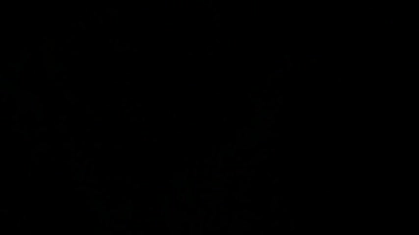 Extrait vidéo du film  Les Pleins pouvoirs