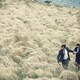 photo du film The Lobster
