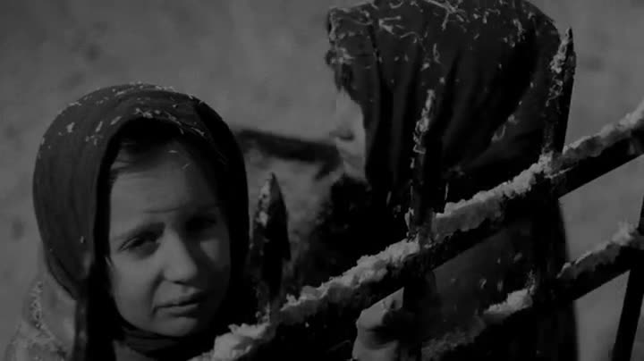 Extrait vidéo du film  Mon XXème siècle